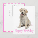 Recherche de anniversaire labrador cartes postales Chiot