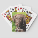 Recherche de chocolate jeux de cartes Animal