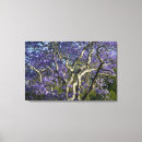 Recherche de jacaranda posters Queensland