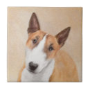 Recherche de taureaux carreaux Chiot