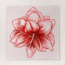 Recherche de amaryllis puzzles Botanique