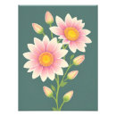 Recherche de marguerite rose art Botanique
