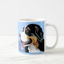 Recherche de bernese Animaux