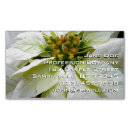Recherche de christmas cartes visite Xmas