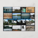 Recherche de safari cartes postales Voyage