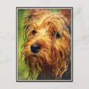Recherche de terrier cartes postales Dog