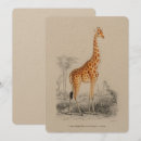 Recherche de histoire naturelle invitations Vintage