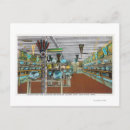 Recherche de aquarium cartes postales Mer