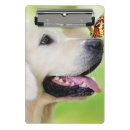 Recherche de labrador porte blocs Pour tous