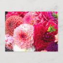 Recherche de dahlia rouge cartes postales Bouquet