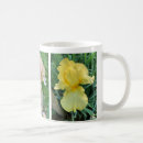 Recherche de iris jaunes tasses Pour elle