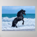 Recherche de friesian posters Black