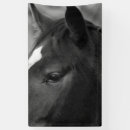 Recherche de corse posters Portrait
