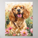 Recherche de de cocker art Espagne