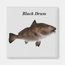 Recherche de poissons tropicaux magnets Mer