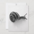 Recherche de lent posters Noir et blanc