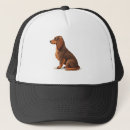 Recherche de poils casquettes Loup
