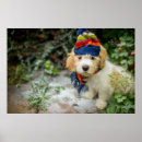 Recherche de écharpe posters Animal