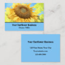 Recherche de russe bleu cartes visite Floral