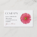 Recherche de gerbera cartes visite Rose