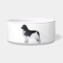 Recherche de terre neuve Dogs