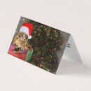 Recherche de maine coon christmas vœux cartes Drôle