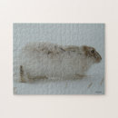 Recherche de lièvres puzzles Lapin