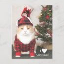 Recherche de chats drôles noël cartes Chat drôle