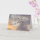 Recherche de oiseau vol vœux cartes Inspirant