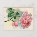 Recherche de gris rose cartes postales Fleurs