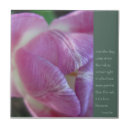 Recherche de bourgeon carreaux Jardin