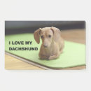 Recherche de dachshund post its Doxie