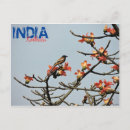 Recherche de calcutta cartes postales Kolkata