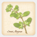 Recherche de origan autocollants Cuisine