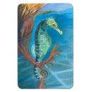 Recherche de hippocampe magnets Mer