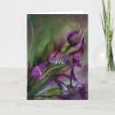 Recherche de zantedeschia cartes postales Floral