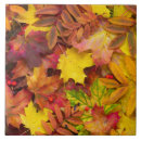Recherche de nature carreaux Automne