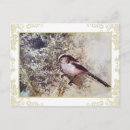Recherche de mésange cartes postales Jardin