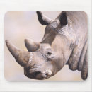 Recherche de rhinocéros tapis souris Faune