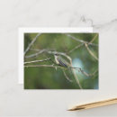 Recherche de subtil cartes postales Plumes