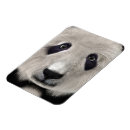 Recherche de panda kawaii magnets Animal