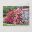 Recherche de pour le mur cartes cartes postales Jardin