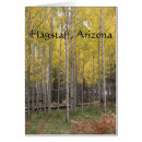 Recherche de arbres de tremble cartes postales Paysage