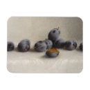 Recherche de nappe magnets Fruit