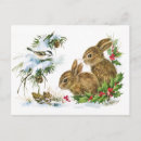 Recherche de lapin de neige cartes postales Oiseau