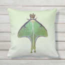 Recherche de mite coussins Vert