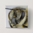 Recherche de composition badges Vue en gros plan