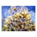 Recherche de algues bleues posters Côte