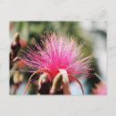Recherche de yucatan cartes postales Photographie