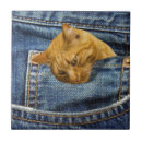 Recherche de humour de chat carreaux Mignon